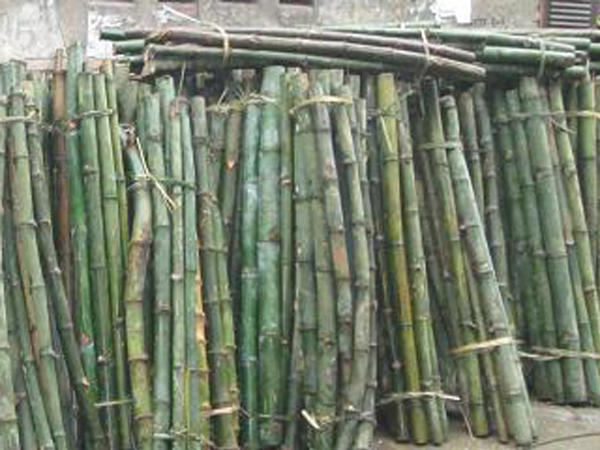 YÊU CẦU CỦA CỌC